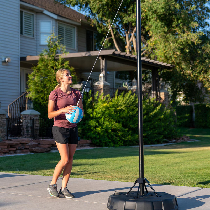 Lifetime Tetherball & Reviews Wayfair